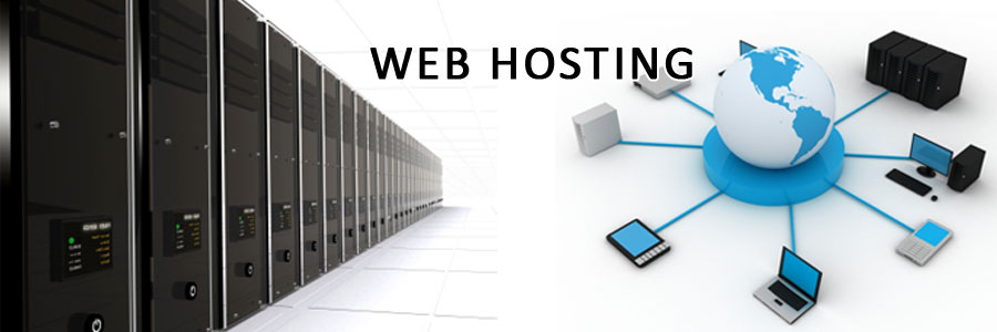 Web Hosting 